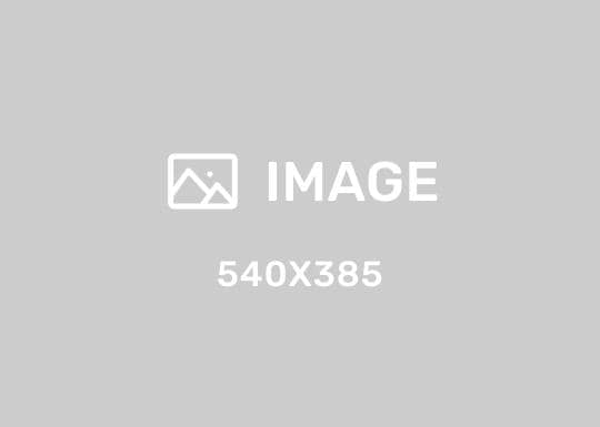 明膠 (豬)-260B